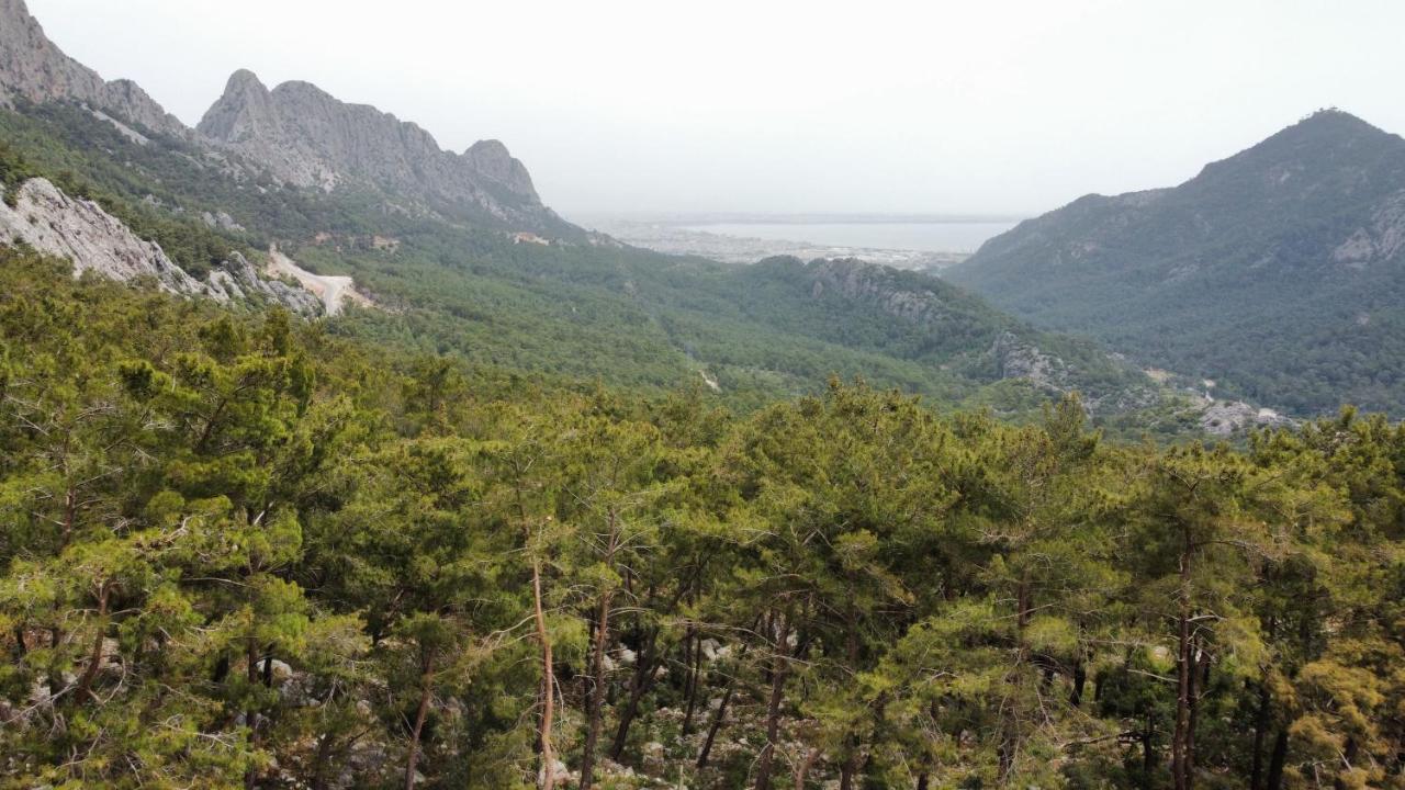 Silyan Villas Αττάλεια Εξωτερικό φωτογραφία